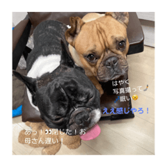 chie_20210223131738