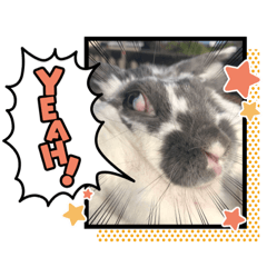 うさぎのミルクと仲間たち Lineクリエイターズスタンプ Stamplist うさぎのミルクと仲間たち Lineクリエイターズスタンプ Stamplist