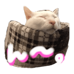 hiyori_20210223113359