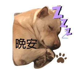 布蕾一家