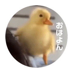 c_20210223174735
