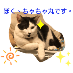 yayoi_202102231827212