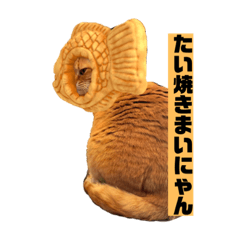 nyangekinoanohi