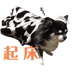 kanae_20210223220200