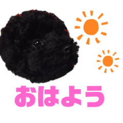 aoi_20210224002604
