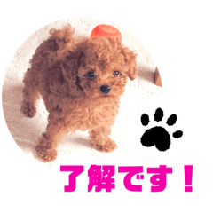 beam_20210224020252