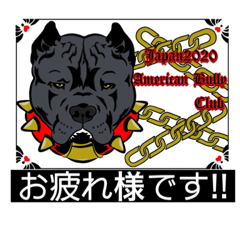 Japan2020americanbullyclub