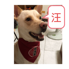 布蕾總匯