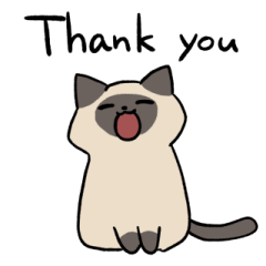 Siamese cat (English)