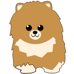 Team Dog Brown Pomeranian