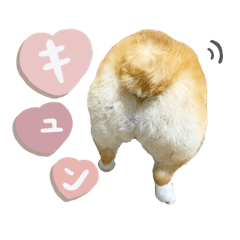 elly__coton sticker
