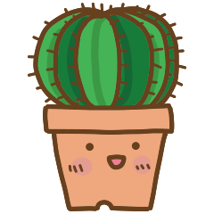 Succulent plant pots