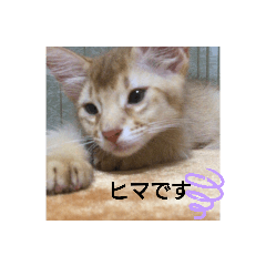 yuka_20210223203238
