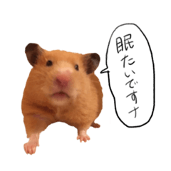 ayumi_20210224123309