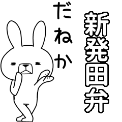 BIG Dialect rabbit[shibata]