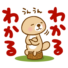 突撃!ラッコさん【お返事とあいづち専用】 - LINE スタンプ 突撃!ラッコさん【お返事とあいづち専用】 - LINE スタンプ
