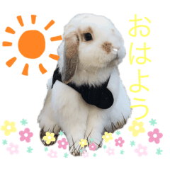 maple_20210224134845