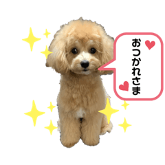Hana_20210224164212