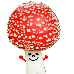 draw a face on a  mushroom