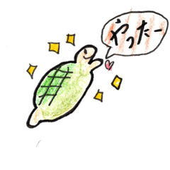 Nohohon turtles