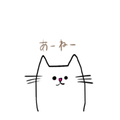 JK_20210224223212