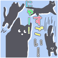 black cat Sticker Sticker
