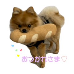 pomeranian toy stamp