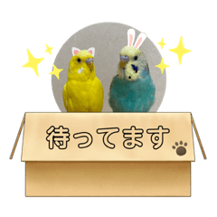 Mimi_20210224191037