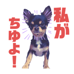 Yuka_20210224211242