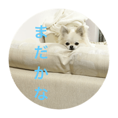 Saya_20210224235344