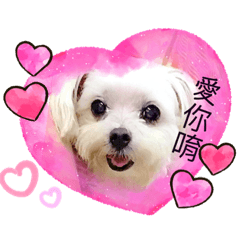 阿比欸