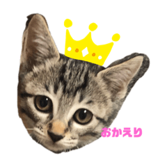 saori_20210224214617