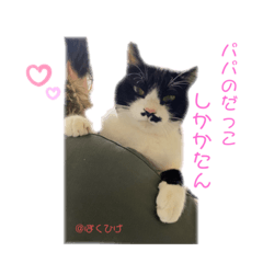 yuka_20210224232933