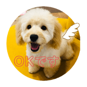 mochi_20210225011245