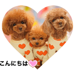 miki_20210225012606