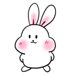 casual bunny 1