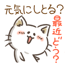 It is a white cat of Nagoya language.