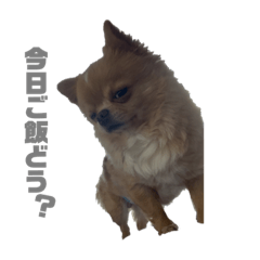 saya_20210225073928