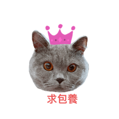蘿莉大叔歐莉芙