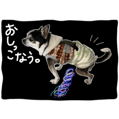 Aoi_20210224123500
