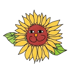 Sunflower modoki