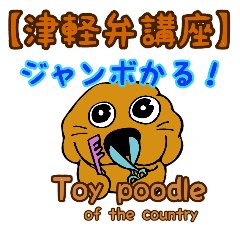 Toy poodle Tsugaru dialectic course
