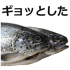 Rainbow trout is fish!