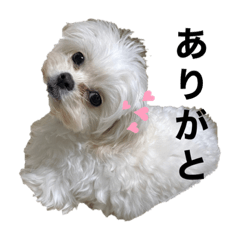 mizuki_20210225152538