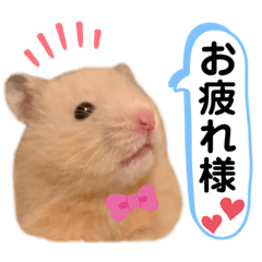 junko_20210225155845