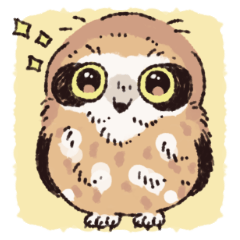 Carefree  owl sticker