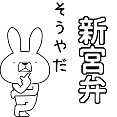 BIG Dialect rabbit[shingu]