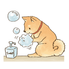 可愛い柴犬の日常スタンプ4 Line スタンプ Line Store 可愛い柴犬の日常スタンプ4 Line スタンプ Line Store