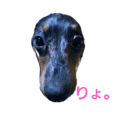 ayumi_20210225222224