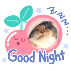 kichi_20210225232036